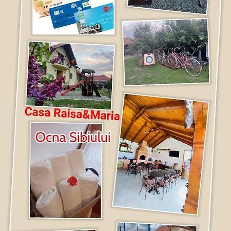 Casa Raisa & Maria Hotel Ocna Sibiului Ngoại thất bức ảnh