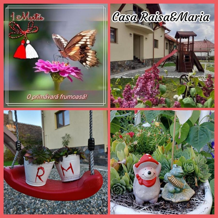 Casa Raisa & Maria Hotel Ocna Sibiului Ngoại thất bức ảnh