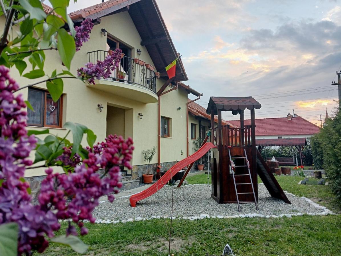 Casa Raisa & Maria Hotel Ocna Sibiului Ngoại thất bức ảnh