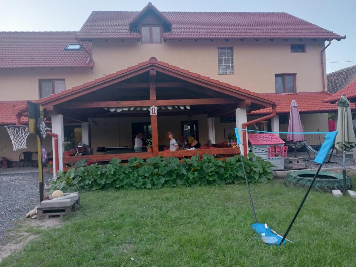 Casa Raisa & Maria Hotel Ocna Sibiului Ngoại thất bức ảnh