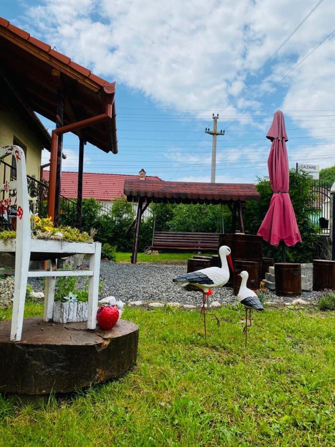 Casa Raisa & Maria Hotel Ocna Sibiului Ngoại thất bức ảnh